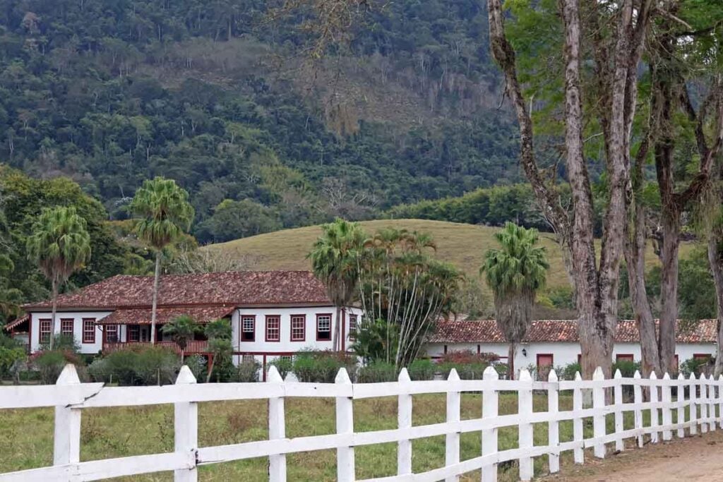 fazenda da floresta