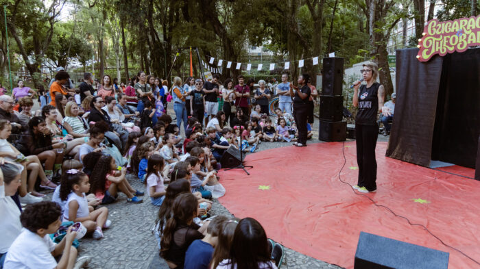 Micro Festival de Circo 235