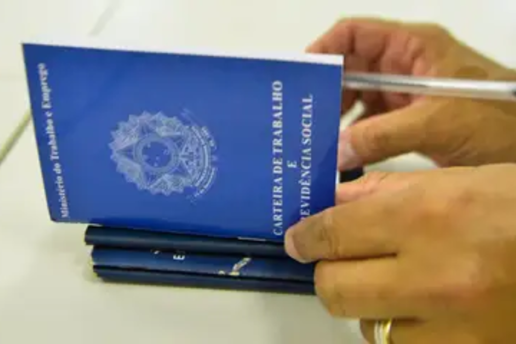 Trabalho Marcelo CasalAgencia Brasil