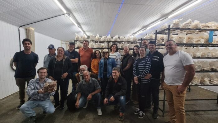 Parceria busca incentivar cultivo de cogumelos entre produtores rurais em Juiz de Fora 3 WhatsApp Image 2025 08 07 at 16.10.36