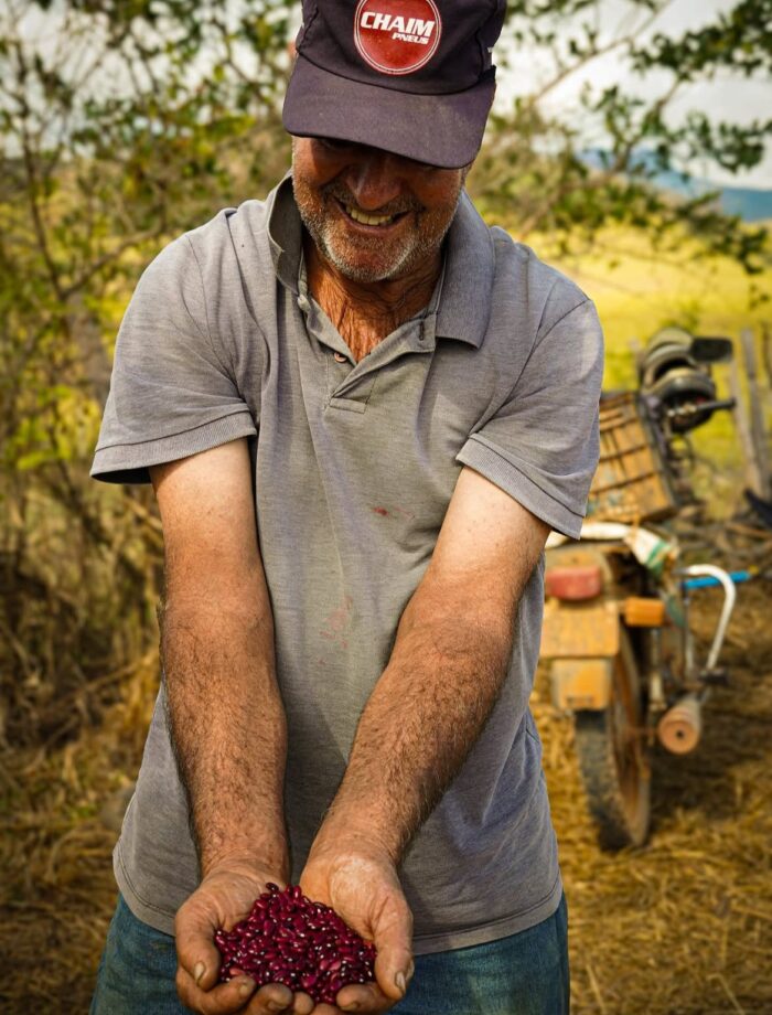 Da terra à mesa: agricultura familiar garante diversidade alimentar e renda em Juiz de Fora 4 WhatsApp Image 2025 08 29 at 12.41.53 1