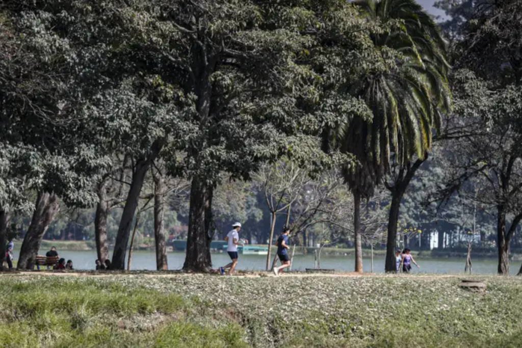 parque ibirapuera