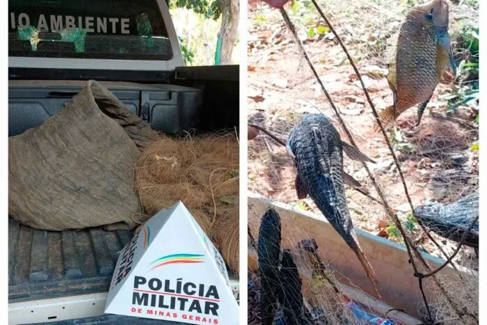 Dezoito quilos de peixes pescados ilegalmente são apreendidos na região 1 18 quilos de peixes pescados ilegalmente são apreendidos na região