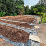 projeto terra boa pjf