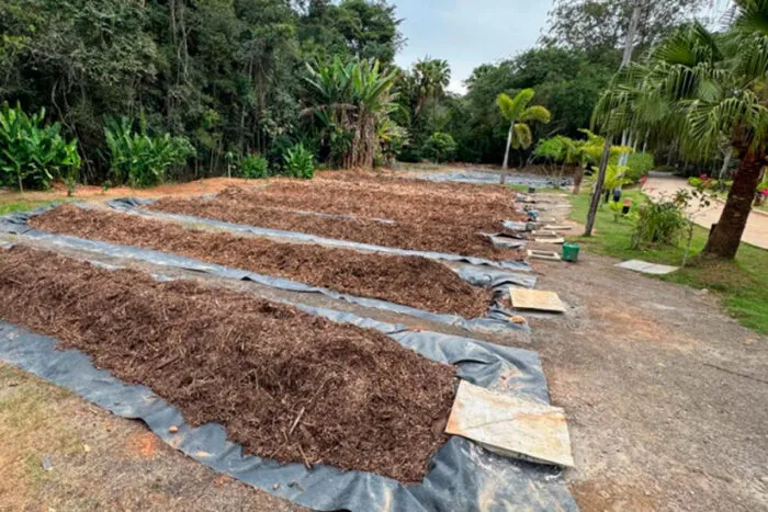 projeto terra boa pjf