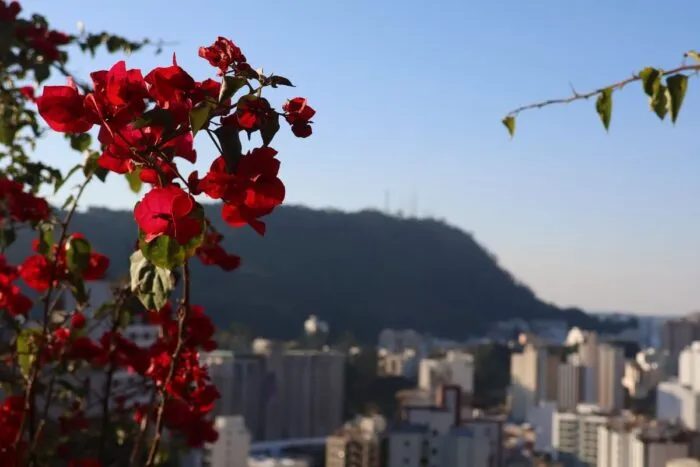 Tempo seco: veja como fica a previsão para Juiz de Fora no final de semana