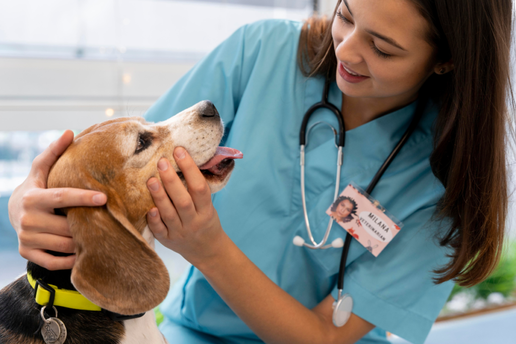 Mau hálito em cães e gatos: veja 7 dicas para evitar o 'bafinho' no seu pet 3 Mau hálito em cães e gatos: veja 7 dicas para evitar o 'bafinho' no seu pet