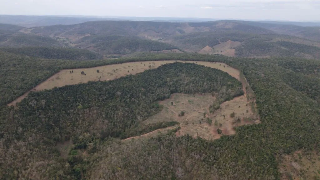 Multas por desmatamento na Mata Atlântica passam de R$ 26 milhões em Minas Gerais