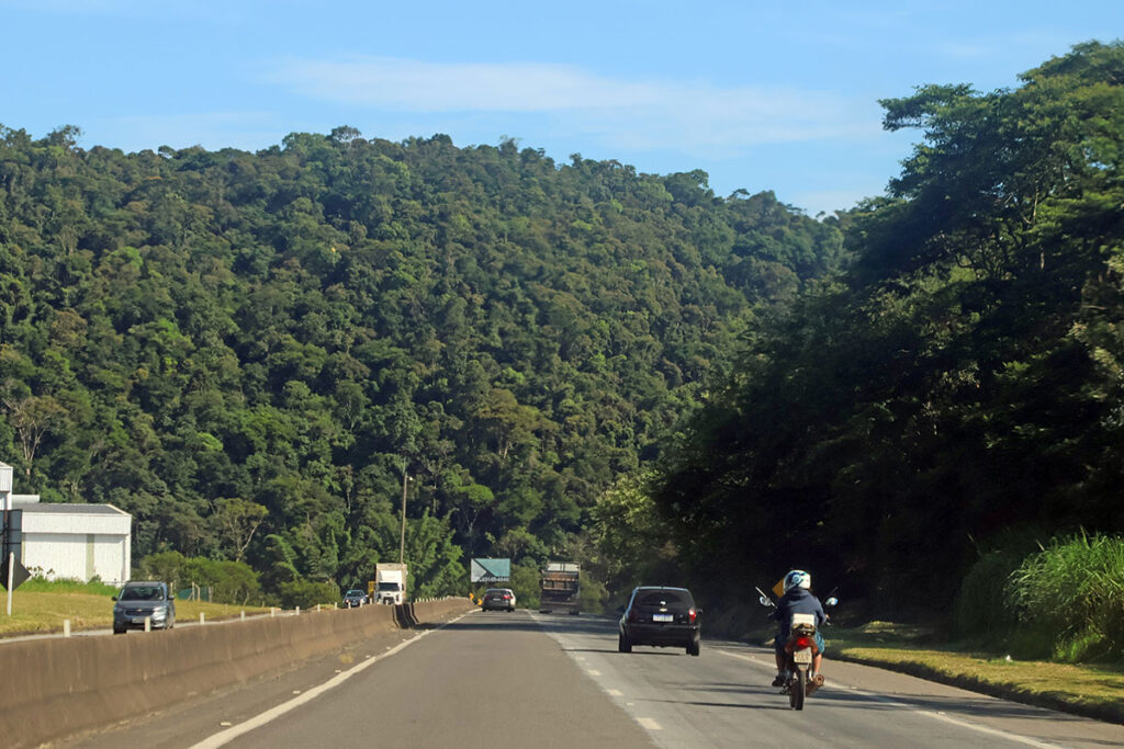 Áreas queimadas na BR-040 entre BH e Juiz de Fora triplicam