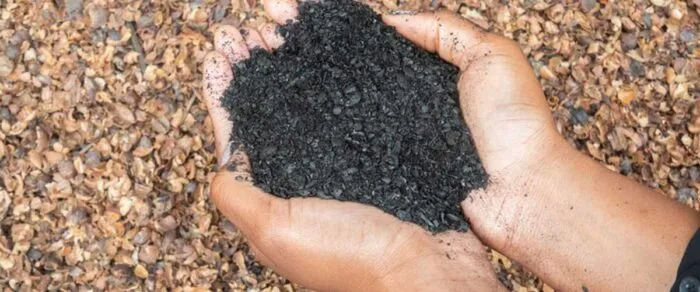 biochar foto netzero