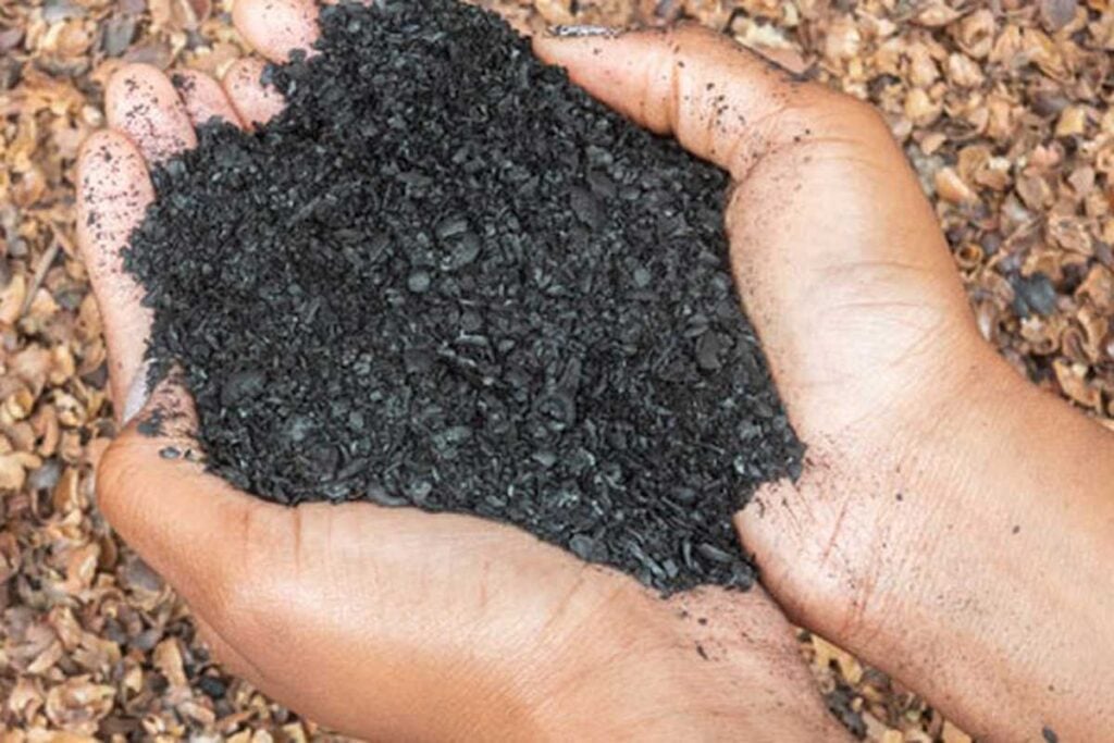 fábrica de biochar