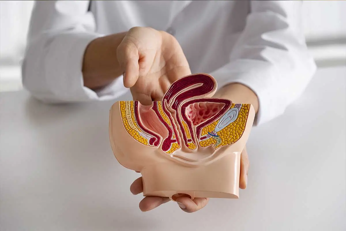 Obesidade aumenta risco de câncer colorretal, apontam estudos 2 cancer colorretal Freepik