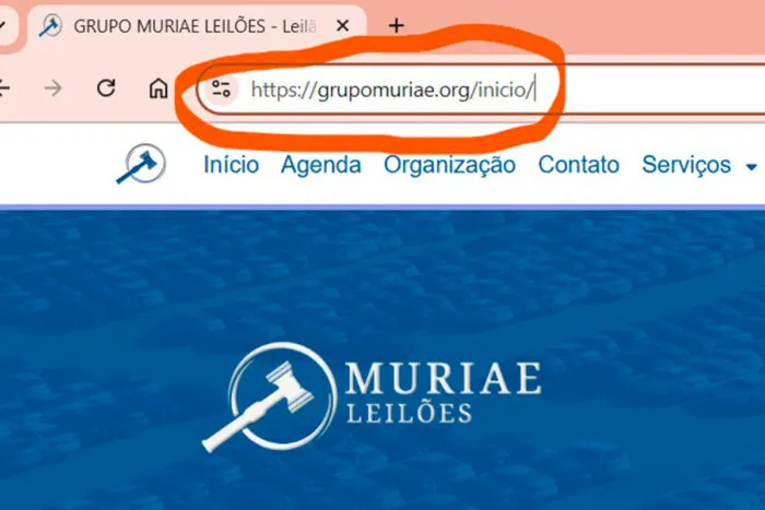 falso-site-veículos