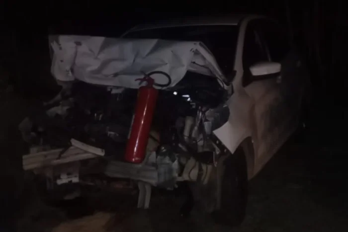 Carro pega fogo após desviar de cavalo na pista e causar acidente 2 Carro pega fogo após desviar de cavalo na pista e causar acidente