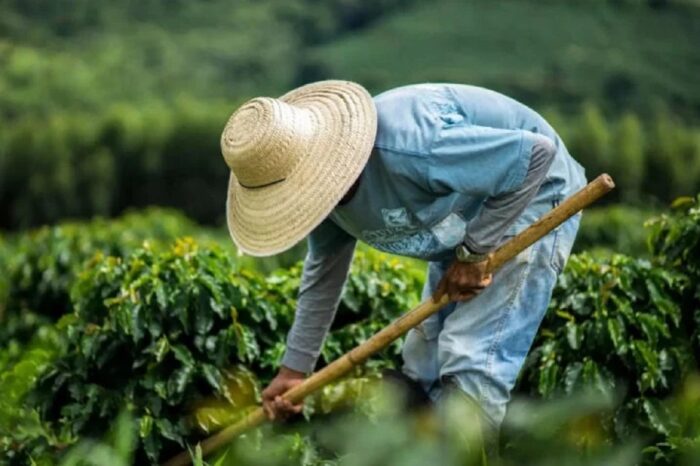 cursos produtores rurais