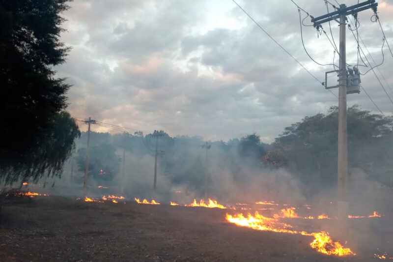 Número de consumidores sem energia em Juiz de Fora por causa de queimadas cresce 468%