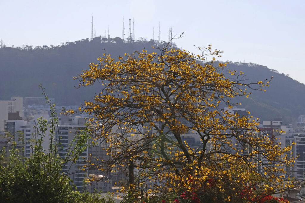 depressão - setembro amarelo