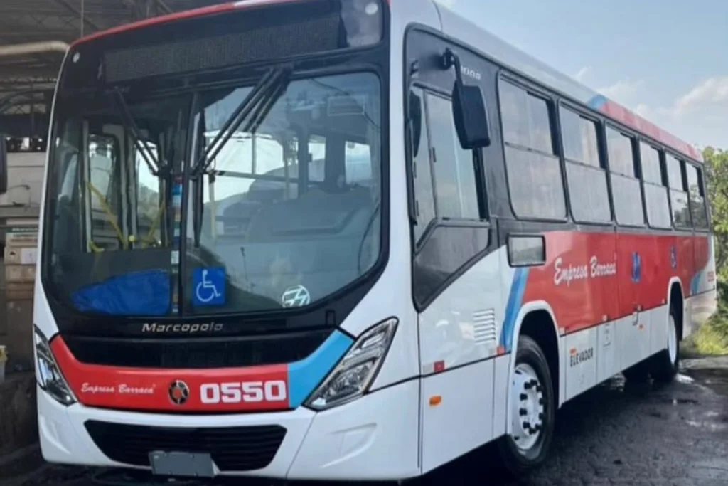 Onibus Barbacena Reproducao Instagram