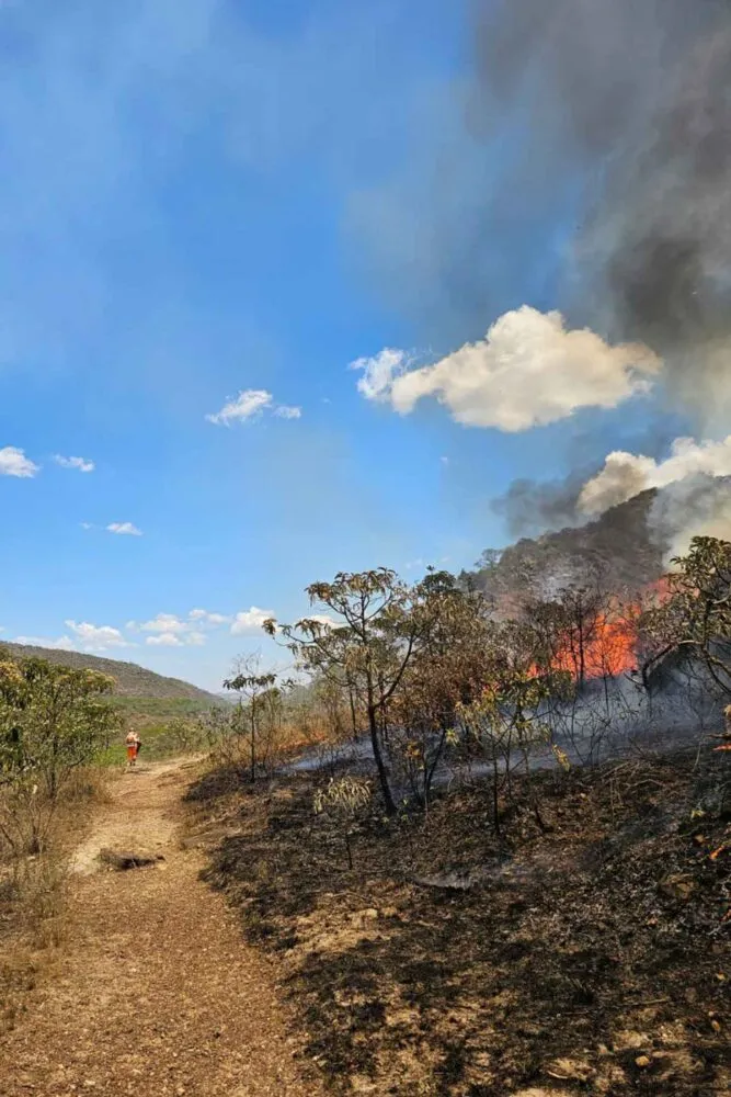 Bombeiros, brigadistas e aeronaves são empenhados no combate a incêndio na Serra de São José; veja vídeo e fotos