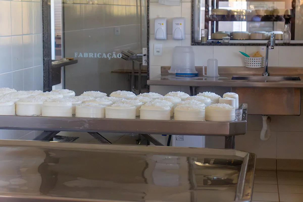 Queijos-Canastra-ROCA-DA-CIDADE---Pedro-Moyses-1