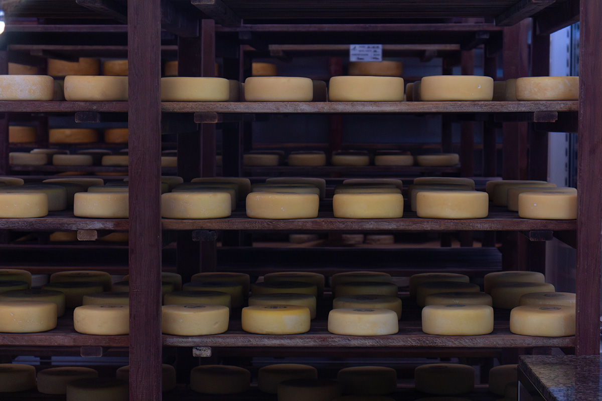 Queijos-Canastra-ROCA-DA-CIDADE---Pedro-Moyses-3