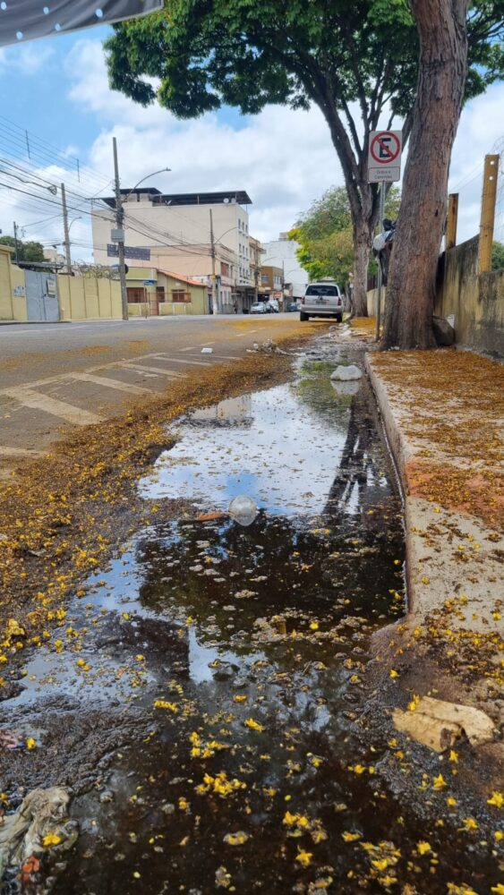 Acúmulo de água no Poço Rico preocupa população com a chegada do período chuvoso 2 água chuvas poço rico