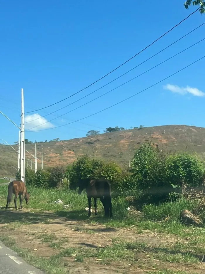 WhatsApp Image 2025-10-23 at 13.20.36 (1)