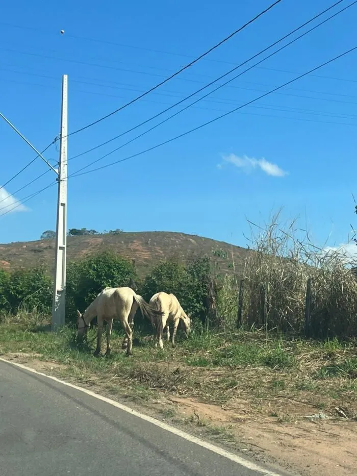 WhatsApp Image 2025-10-23 at 13.20.36