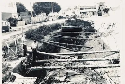 WhatsApp Image 2025 10 24 at 15.01.50