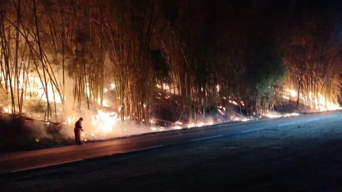 Incêndio em bambuzal interdita estrada União Indústria 2 bambuzal uniao industria foto bombeiros