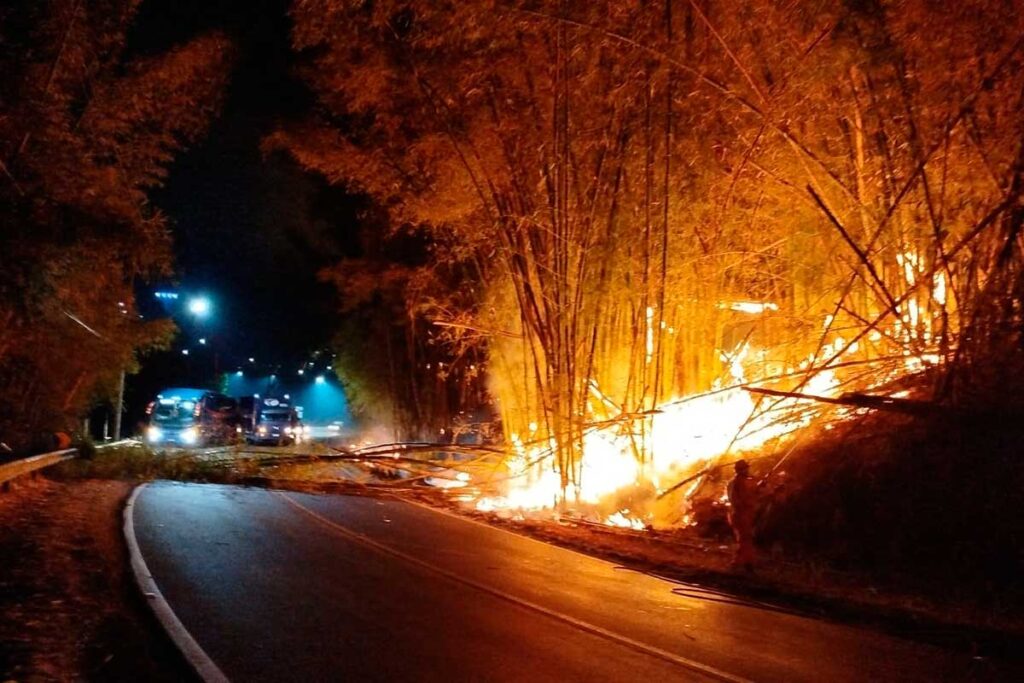 Incêndio em bambuzal interdita estrada União Indústria 2 Incêndio em bambuzal interdita estrada União Indústria