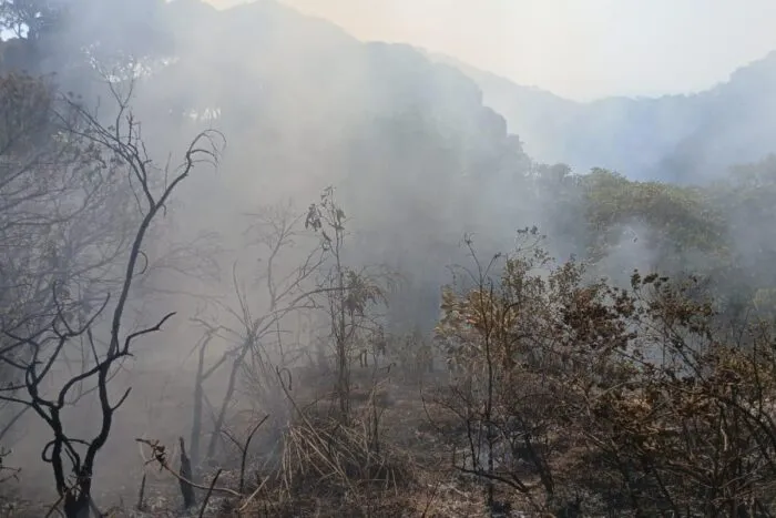 Incêndios: 7 Unidades de Conservação são alvo de operações de combate a fogo em Minas 2 Sete Unidades de Conservação são alvo de operações de combate a incêndios em Minas
