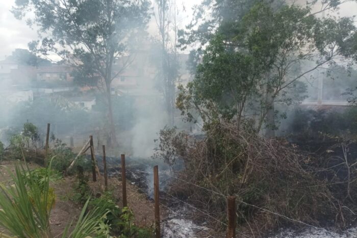 Homem é preso e multado em R$ 1 mil por atear fogo em lote