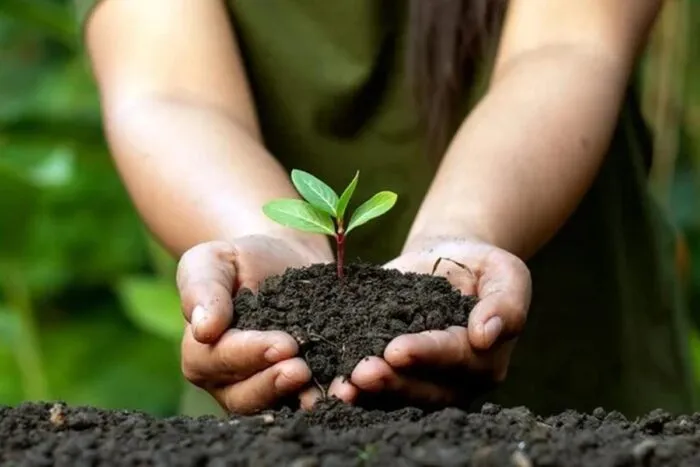 Curso on-line sobre empreendedorismo sustentável tem inscrições gratuitas até sexta
