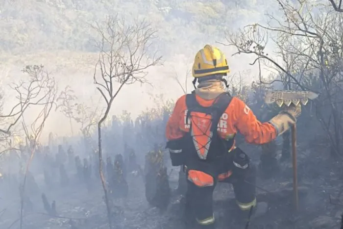Incêndio atinge área de cerca de 71 hectares no Parque Estadual do Brigadeiro