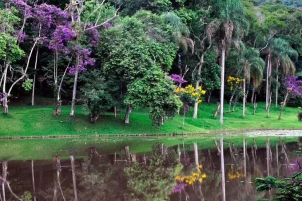 jardim botanico ufjf
