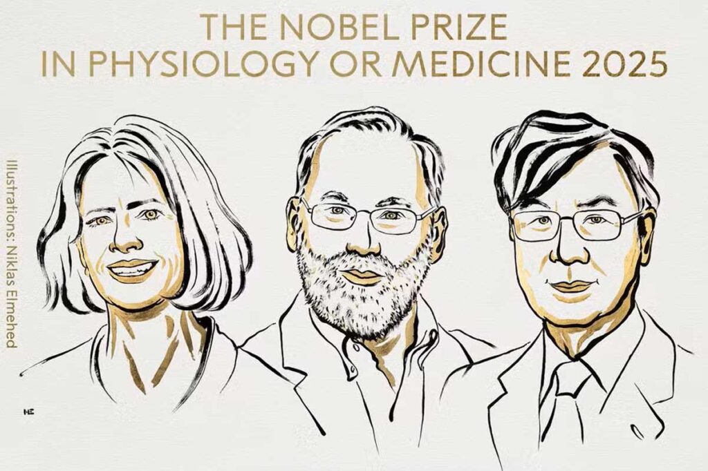 Nobel de Medicina: cientistas que alavancaram pesquisa contra câncer e doenças autoimunes são premiados 1 nobel de medicina 2025