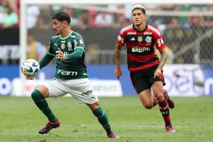 Brasileirão: confira as probabilidades de vaga na Libertadores e de título antes do confronto Flamengo x Palmeiras 3 brasileirão
