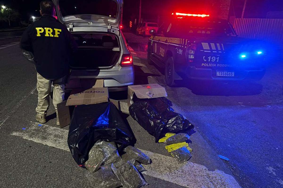 Motorista de aplicativo é preso com supermaconha no porta-malas de carro na BR-381 1 Motorista de aplicativo é preso com supermaconha no porta-malas de carro na BR-381