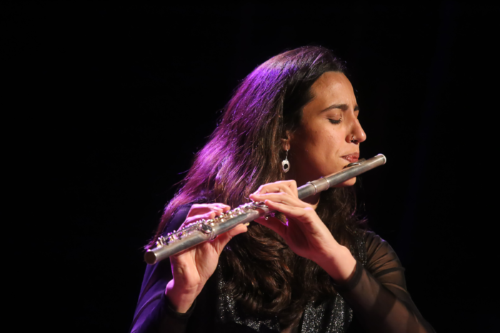 Representatividade feminina na música de Juiz de Fora vai além do palco, dizem instrumentistas 6 nara pinheiro