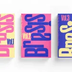 Obra de escritor juiz-forano é selecionada para livro com textos nacionais inéditos 4 Mockup Brasis site
