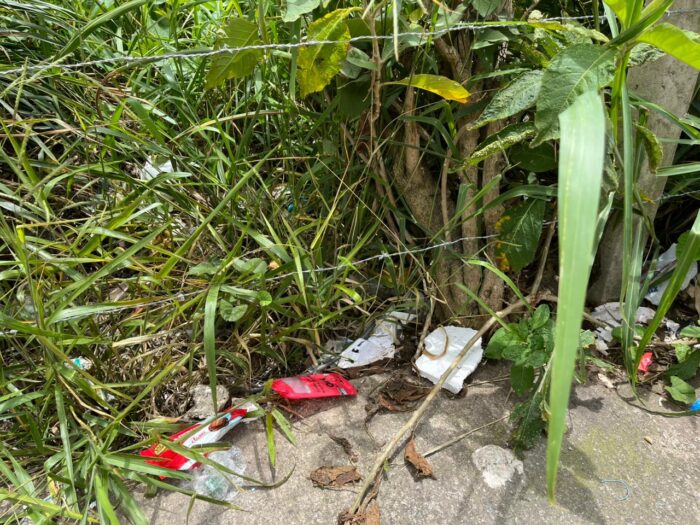 WhatsApp Image 2025-11-03 at 12.10.50 (1) WhatsApp Image 2025-11-03 at 12.10.50 (1)