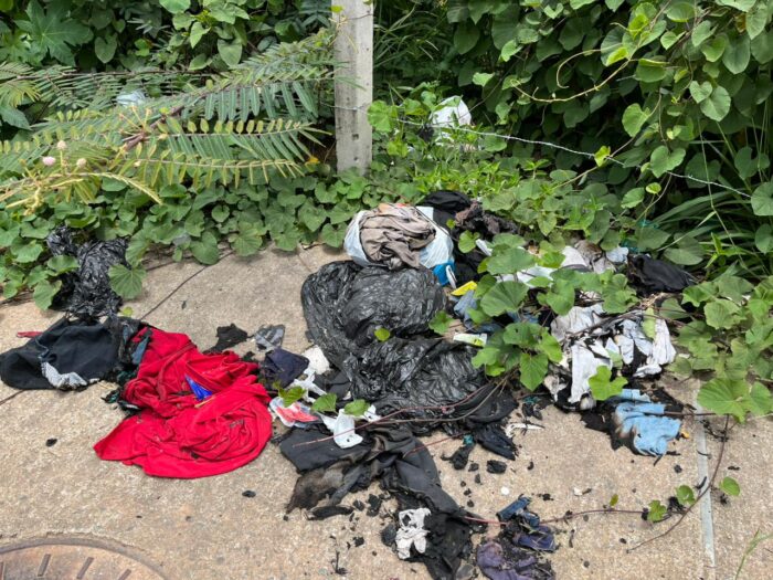 WhatsApp Image 2025-11-03 at 12.10.51 WhatsApp Image 2025-11-03 at 12.10.51