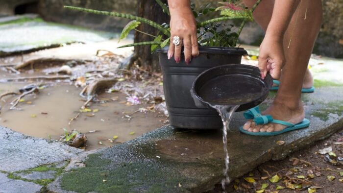Minas se prepara para o Dia D contra a Dengue 2 WhatsApp Image 2025 11 05 at 10.07.34 2