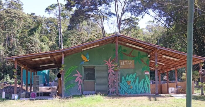 WhatsApp Image 2025 11 10 at 17.18.37