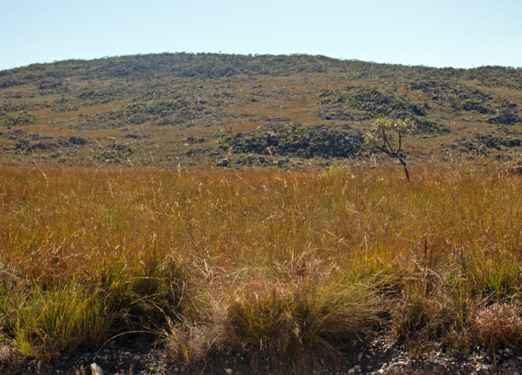 WhatsApp Image 2025-11-21 at 12.00.07