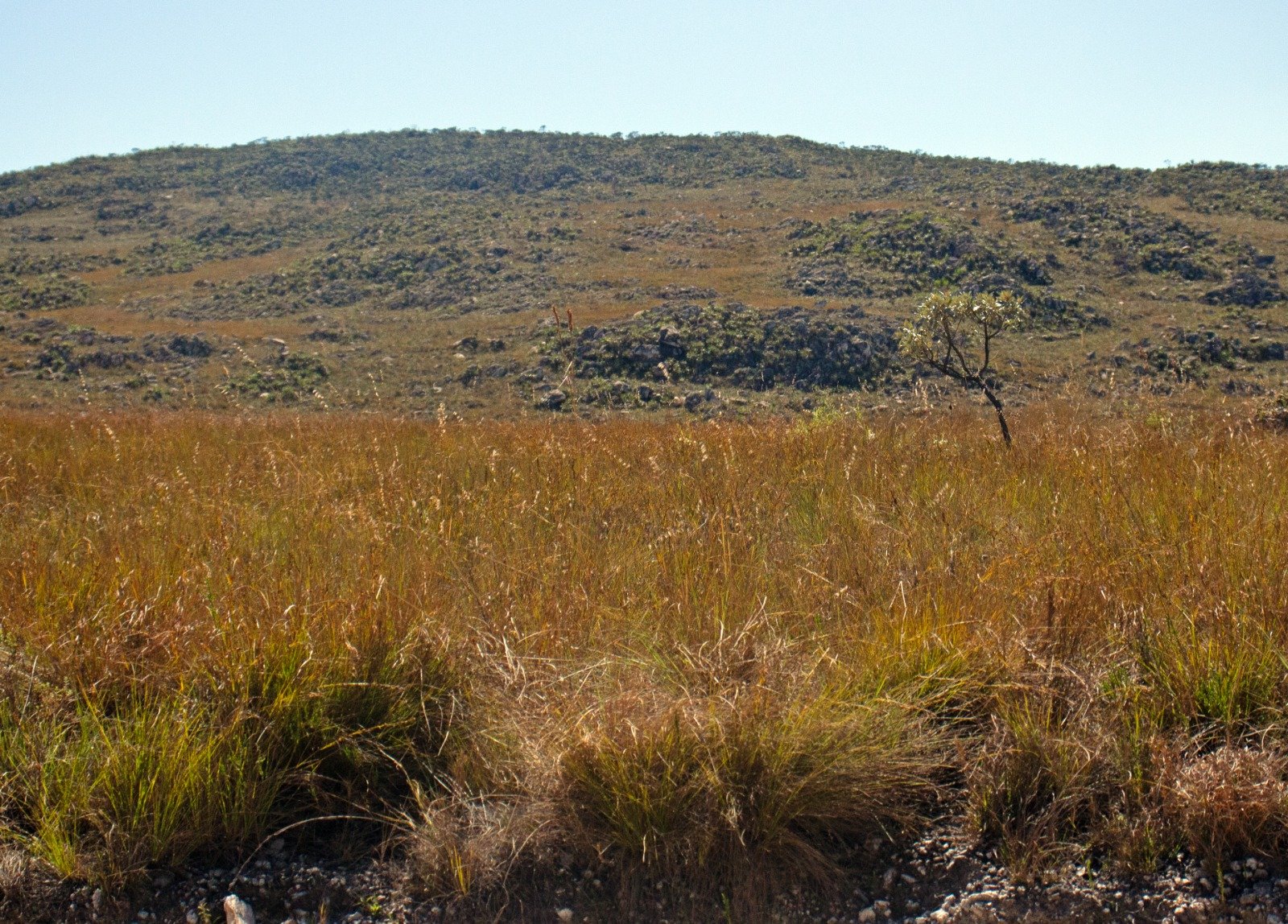 WhatsApp Image 2025-11-21 at 12.00.07