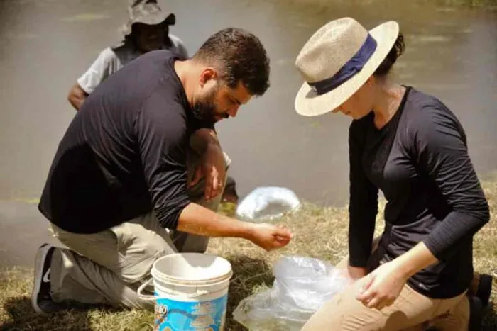 Professor da UFJF leva aquicultura sustentável como aliada no debate climático à COP 3 aquicultura