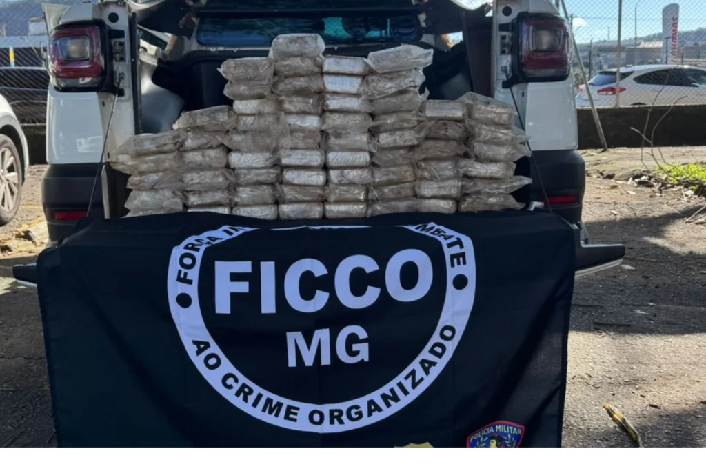 petroleo economia felipe couri 37