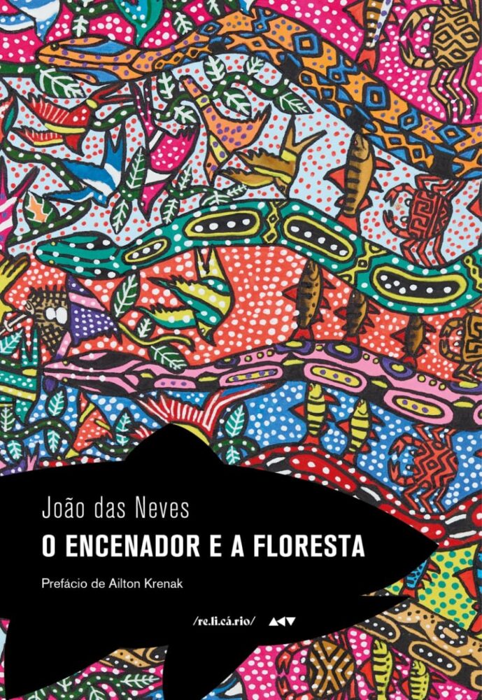 Capa do livro joao das neves